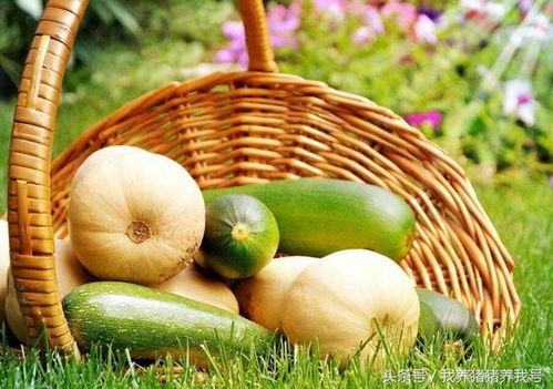 農(nóng)產(chǎn)品蔬菜品牌應(yīng)具備的氣質(zhì)