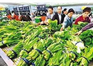 春節(jié)前菜市場(chǎng)探秘 蔬菜、水產(chǎn)、肉類價(jià)格與供應(yīng)全解析