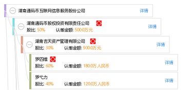 湖南通碼幣互聯(lián)網(wǎng)信息服務(wù)股份公司 在數(shù)字經(jīng)濟(jì)浪潮中的信息服務(wù)引領(lǐng)者